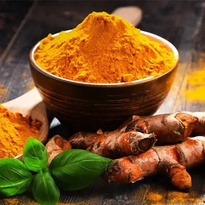Turmeric rhizome